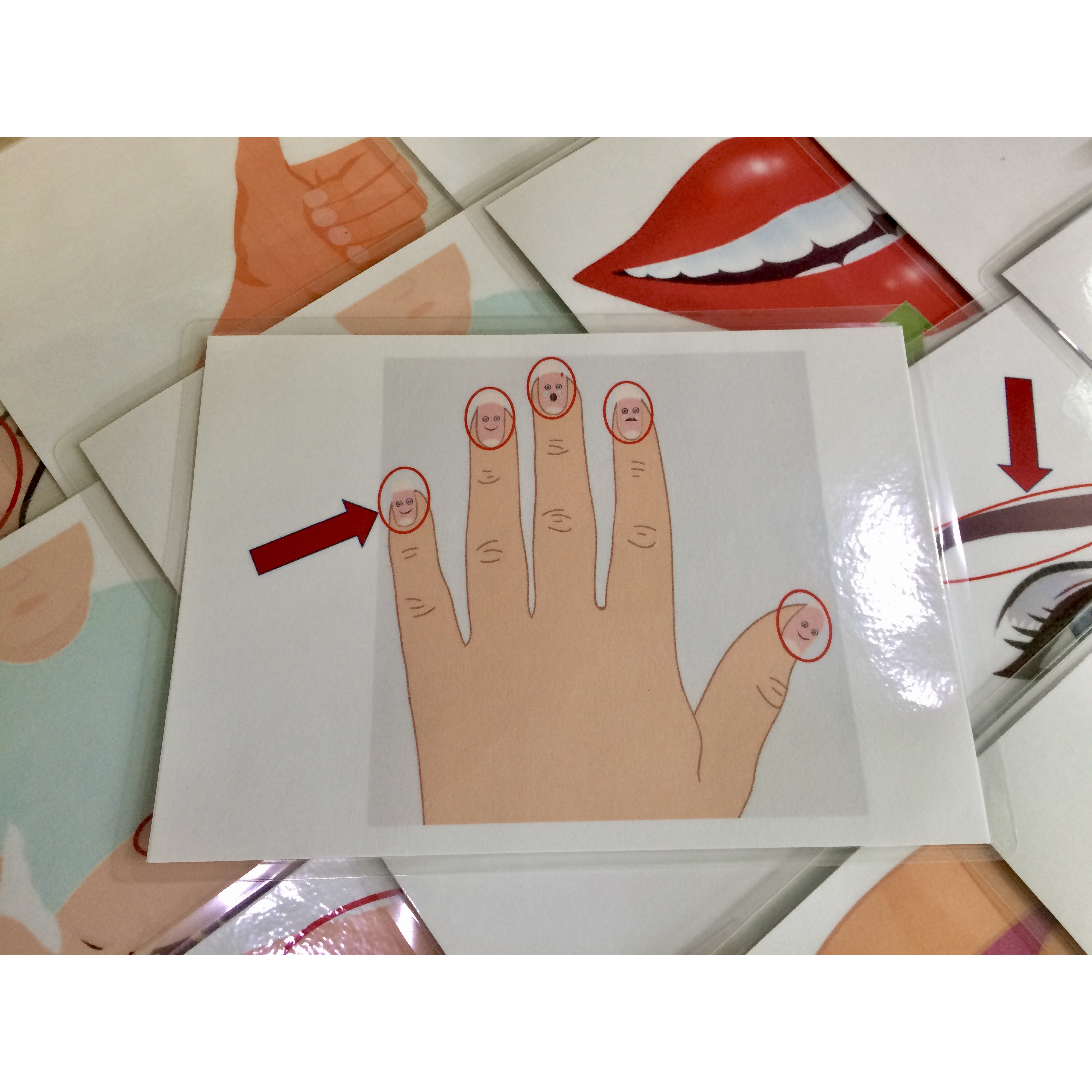 Body part Flashcards - Set 2: Advanced - Thẻ học tiếng Anh chủ đề Bộ phận cơ thể - Bộ 2 (mức độ khó) - 20 cards: ankle, palm, thumb, nail, chest