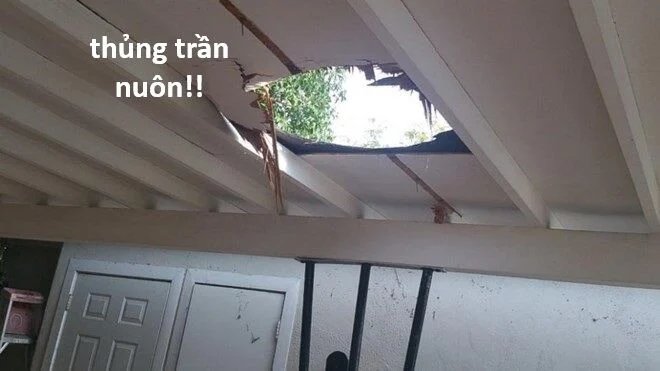 sự lụi tàn của usuzumi chapter 120 52