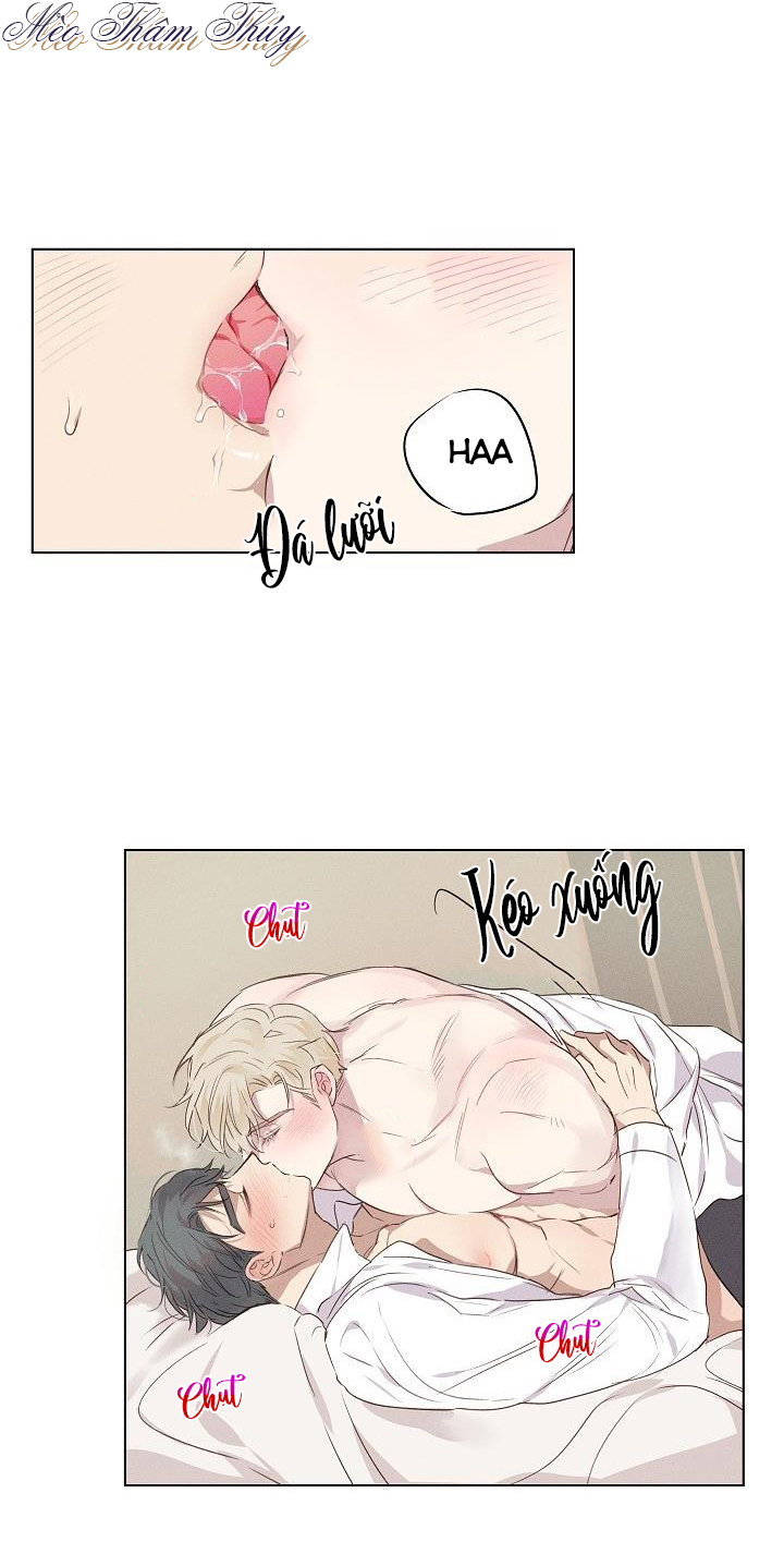 nơi tình yêu định mệnh chapter 3 13