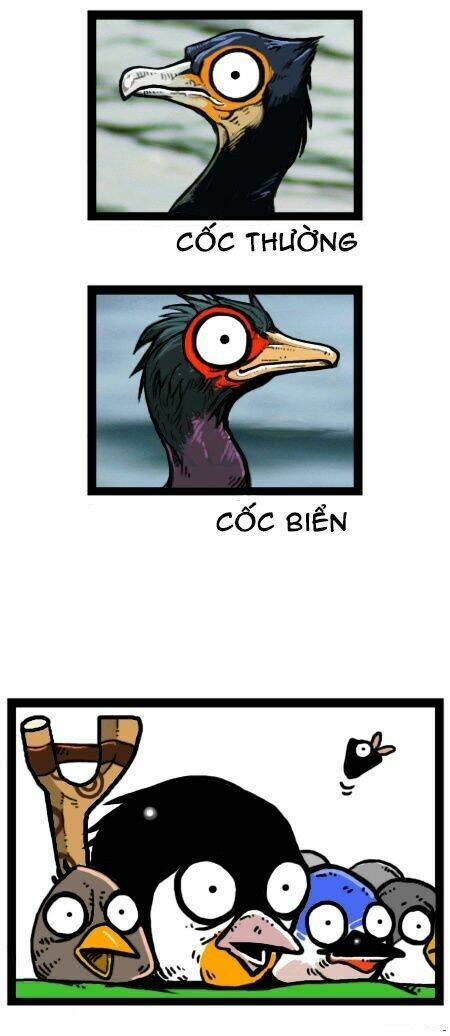 earth, human, and animal chapter 20 15