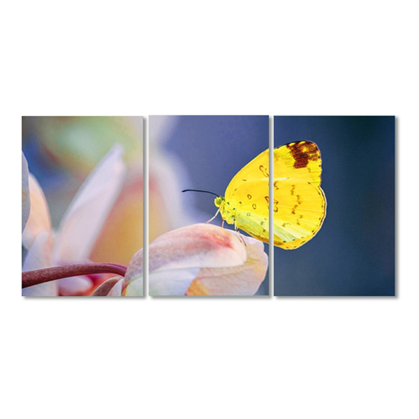 Bộ 3 Tranh Trang Trí Bướm Và Hoa W452