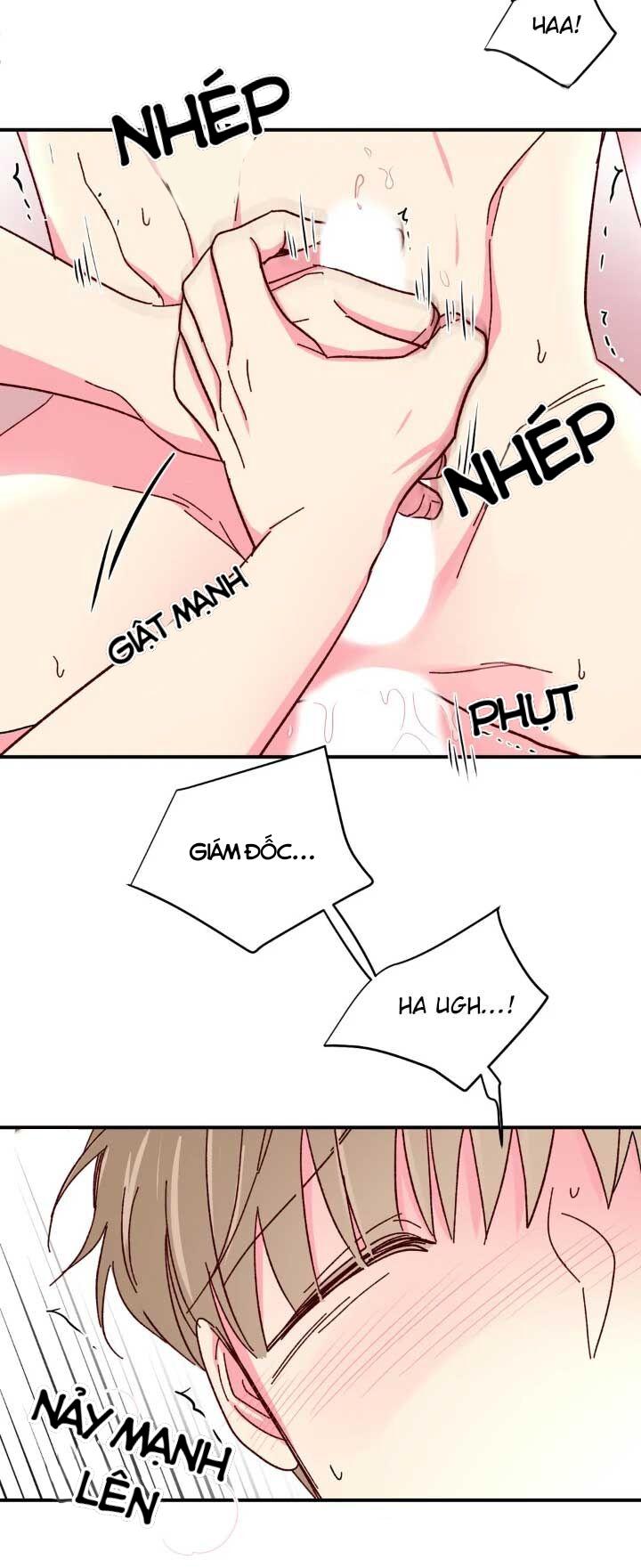 món tráng miệng của sếp tổng chapter 63 42