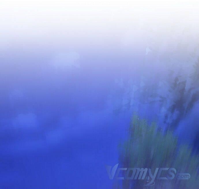 tôi không cố ý quyến rũ nam chính đâu! chapter 72 16