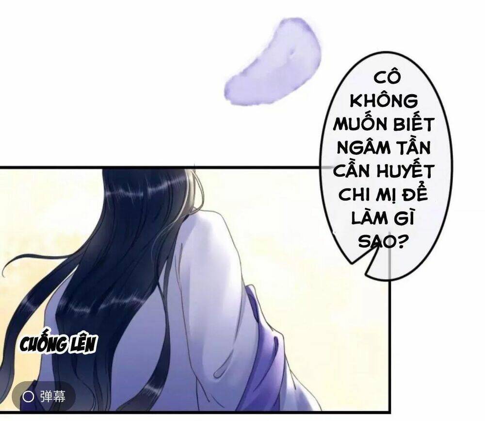 sủng phi của vương chapter 110 5