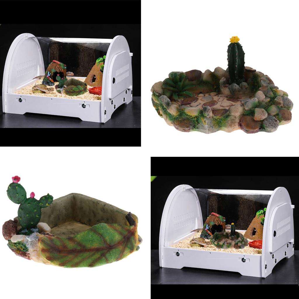 Reptile Food Water Dish Vivarium Decoration