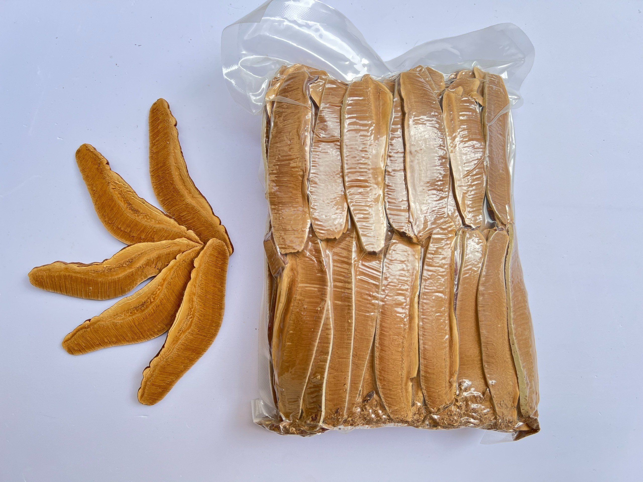 Trà Nấm Linh Chi Đỏ Đất Thép Giống Nhật 500g - Giải độc gan - Ổn định đường huyết