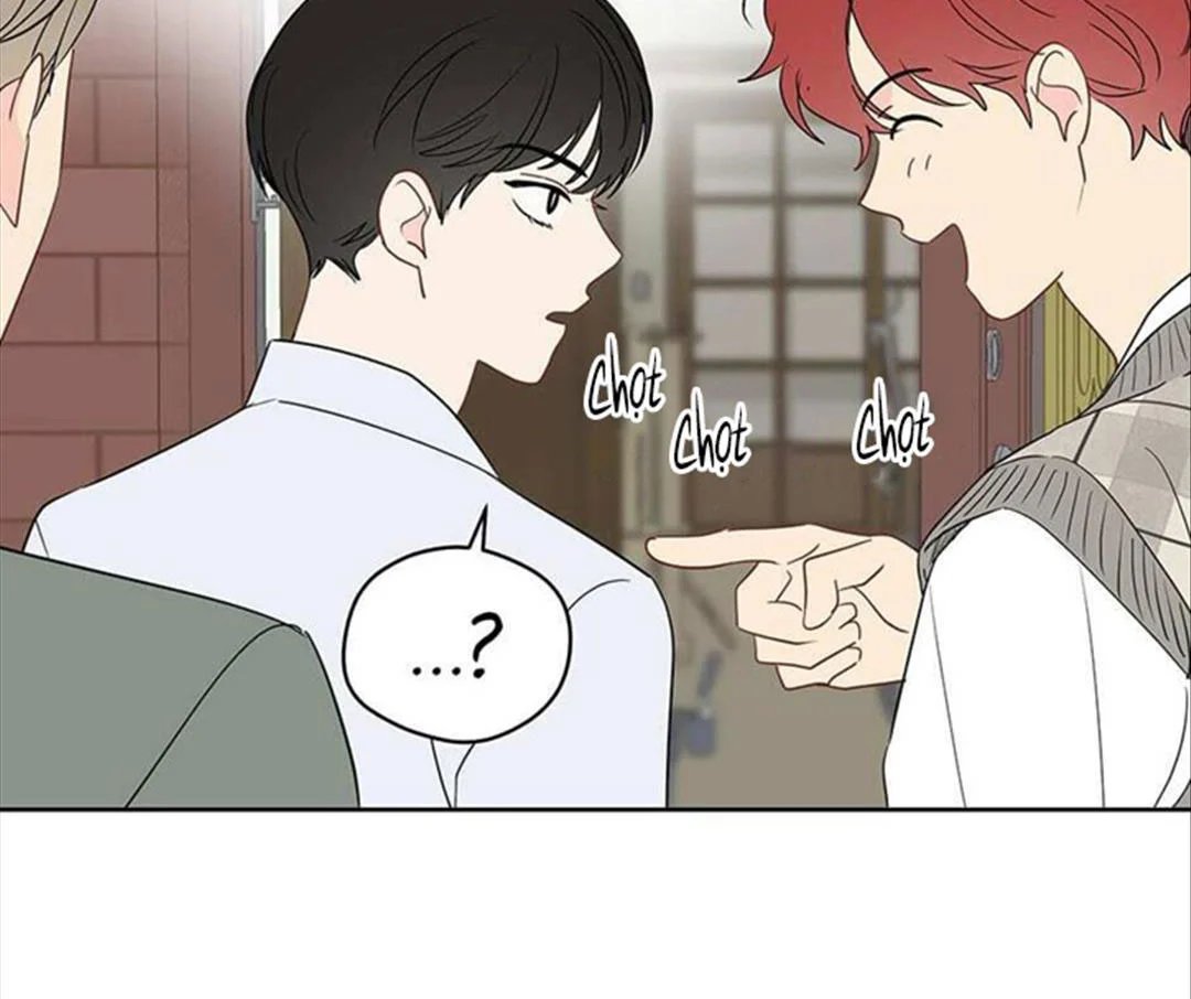 chuyện quái gì với giấc mơ đó vậy chapter 33 12