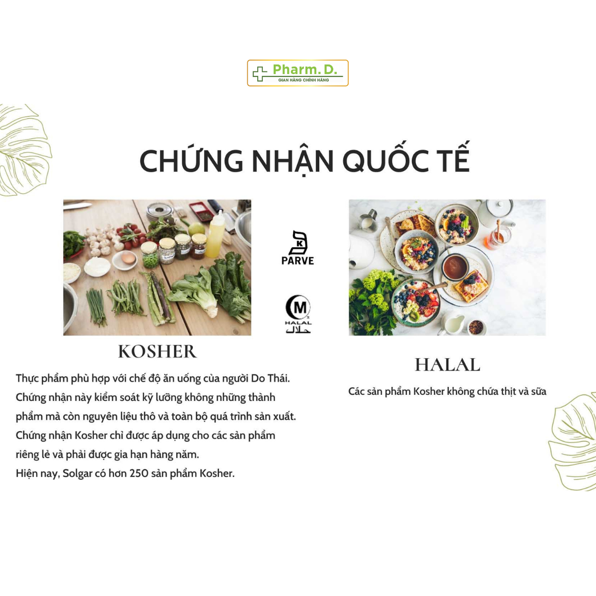 Viên Uống Solgar Male Multiple Giúp Giảm Stress, Bổ Sung Vitamin Và Khoáng Chất Hỗ Trợ Sức Khỏe Cho Nam Giới