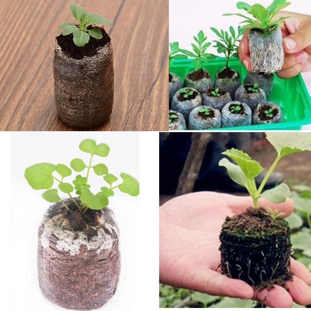 80pcs Starting Seedling Soil Block Starter Peat Blocks