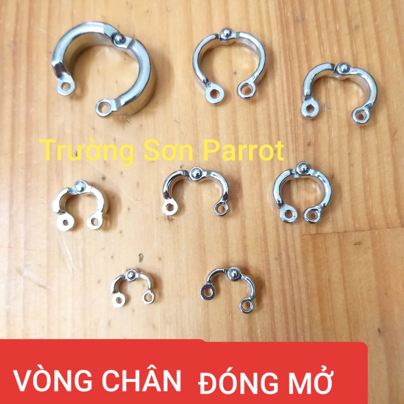 1 VÒNG CHÂN CHO VẸT DẠNG ĐÓNG MỞ đủ size (NHẪN ĐEO CHÂN cho vẹt) BẰNG INOX dùng để đeo xích cho chim