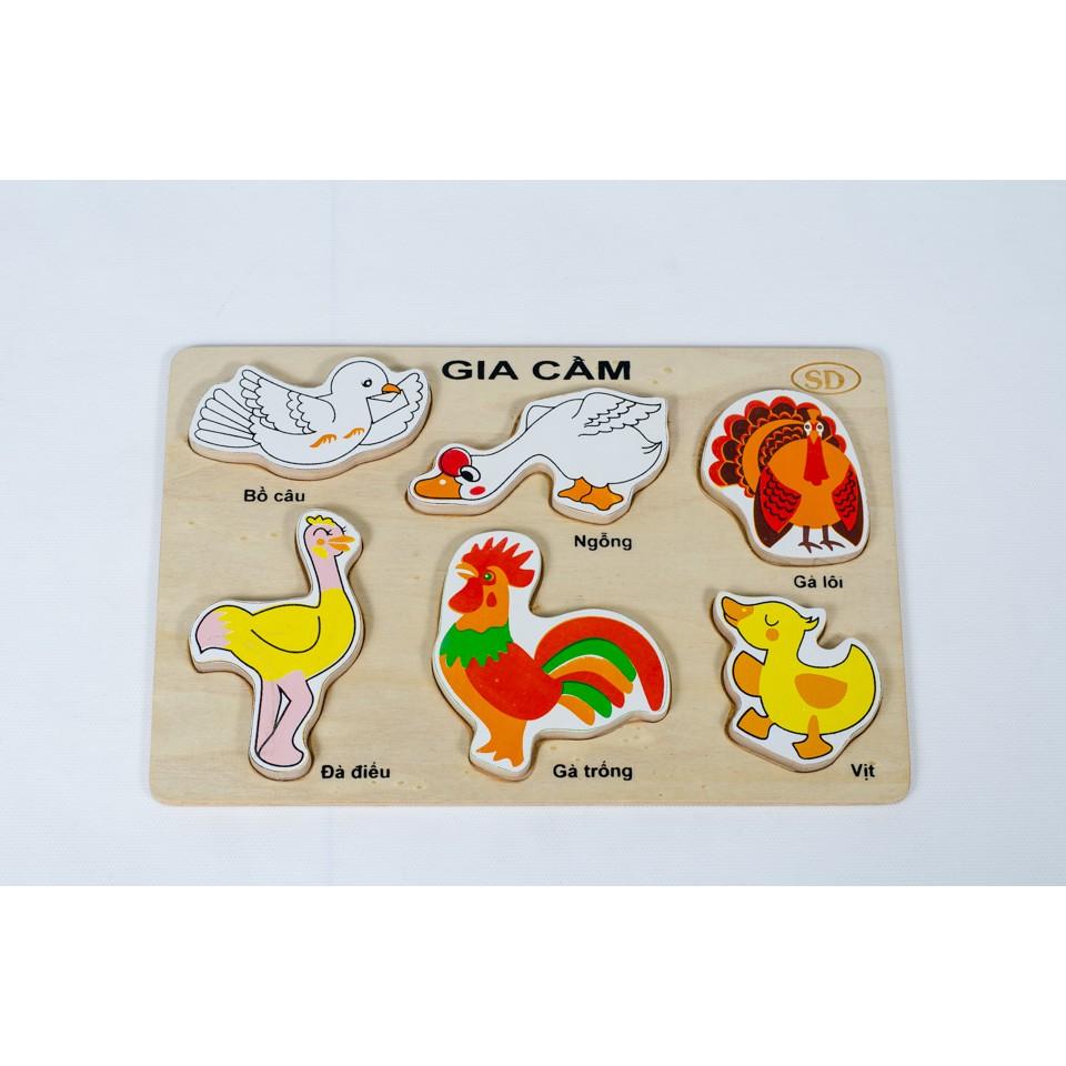 Bảng nhận hình các loại gia cầm bằng gỗ