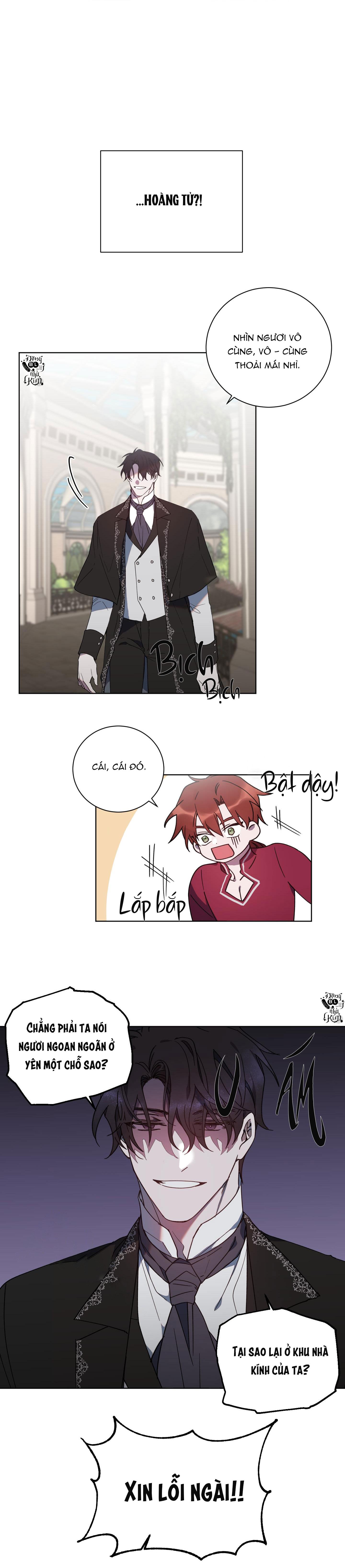 bá tước, yêu tôi đi chapter 5 21