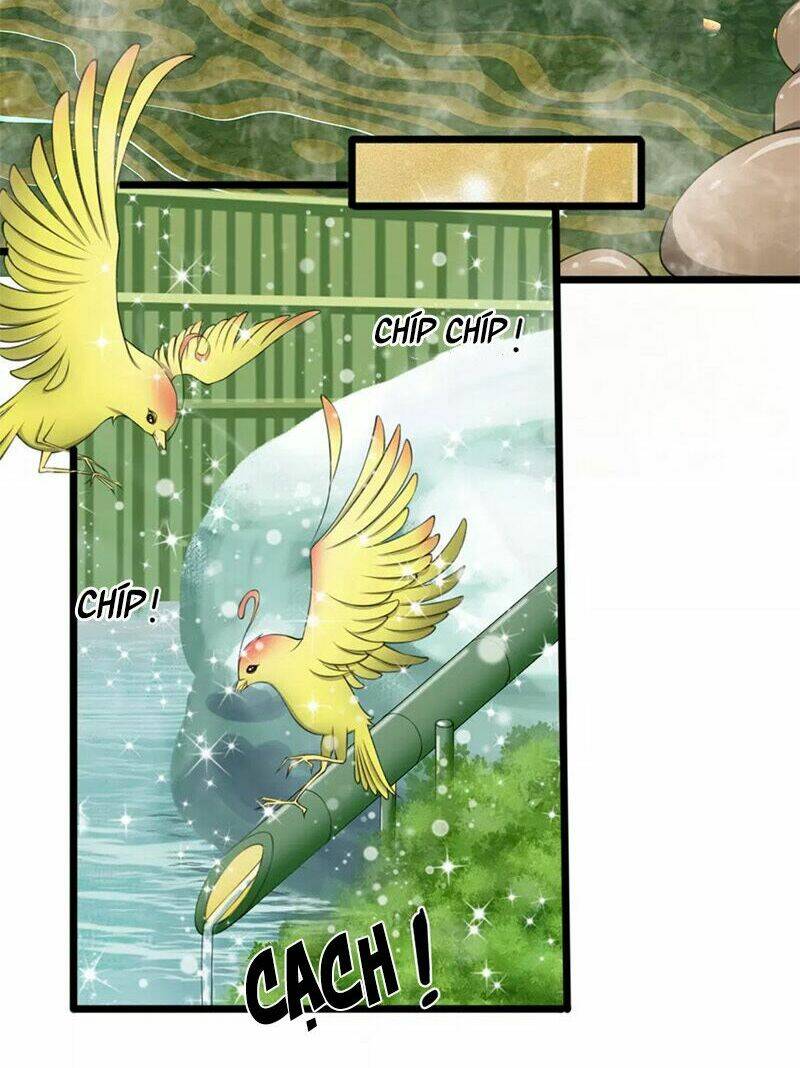 phúc hắc lão công buông em ra chapter 67 11