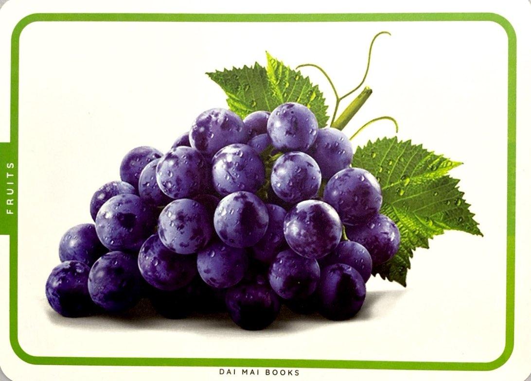 Sách - Flash Card - Thẻ Học Thông Minh Theo Phương Pháp Giáo Dục Sớm Glenn Doman - Các Loài Hoa Và Trái Cây - Flowers And Fruits