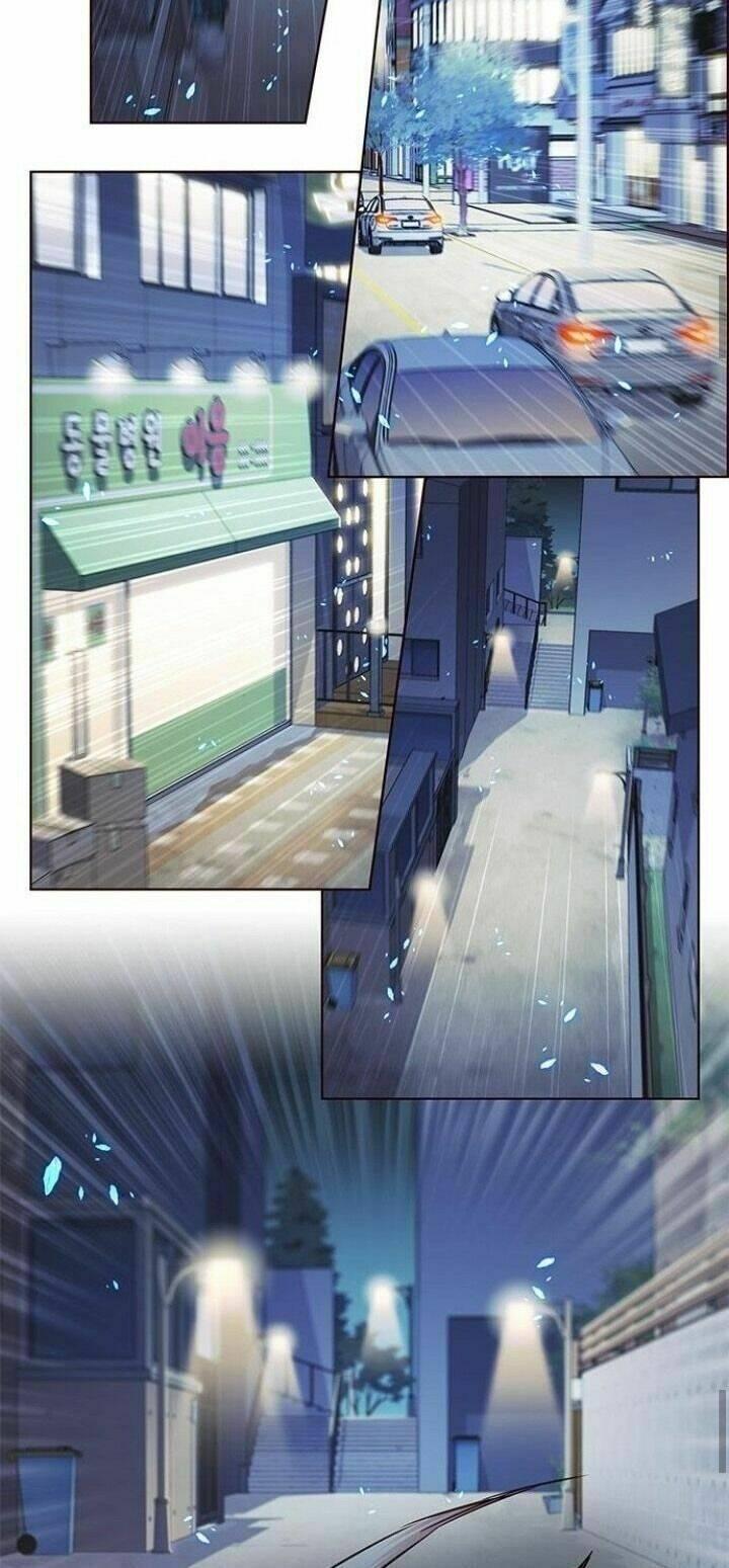 biến thân thành mèo chapter 126 42