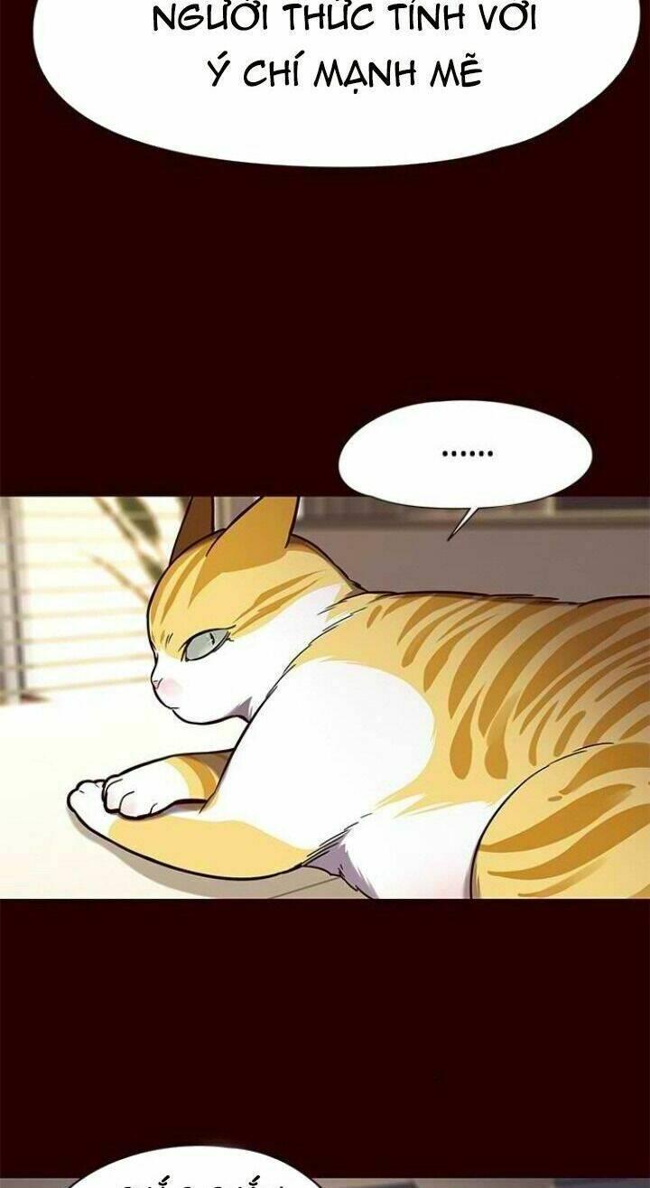 biến thân thành mèo chapter 96 16