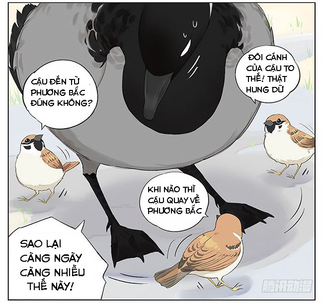 sẻ chiếu mới và nhạn phong sương chapter 9 4