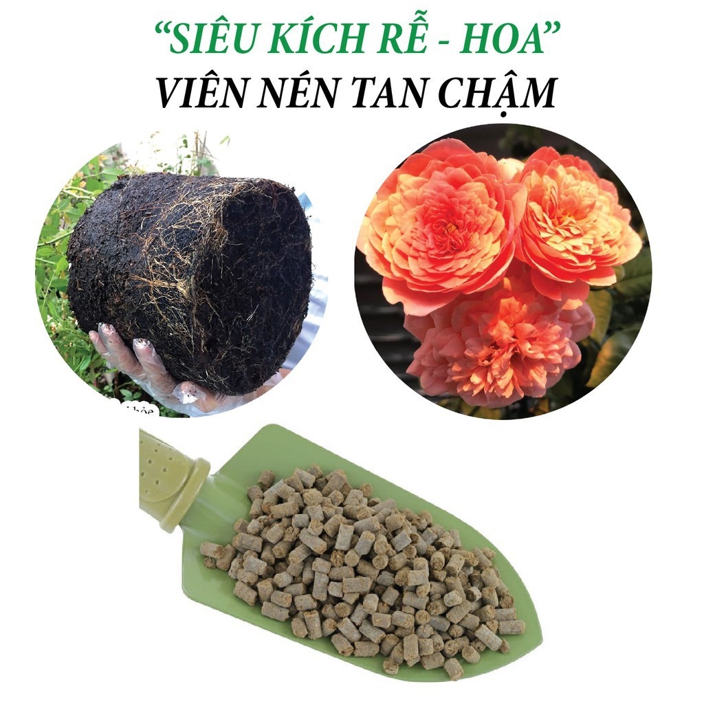 PHÂN BÓN SIÊU KÍCH RỂ - Kích thích tăng tốc phát triển bộ rễ, tăng trưởng mầm, hoa lá