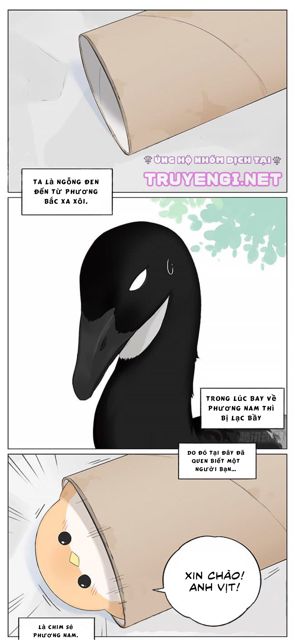 sẻ chiếu mới và nhạn phong sương chapter 3 1