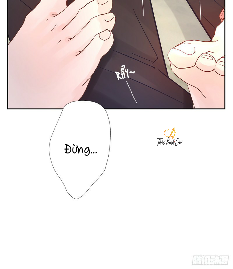 mối tình đầu gian nan của chu thành nhất chapter 31 8