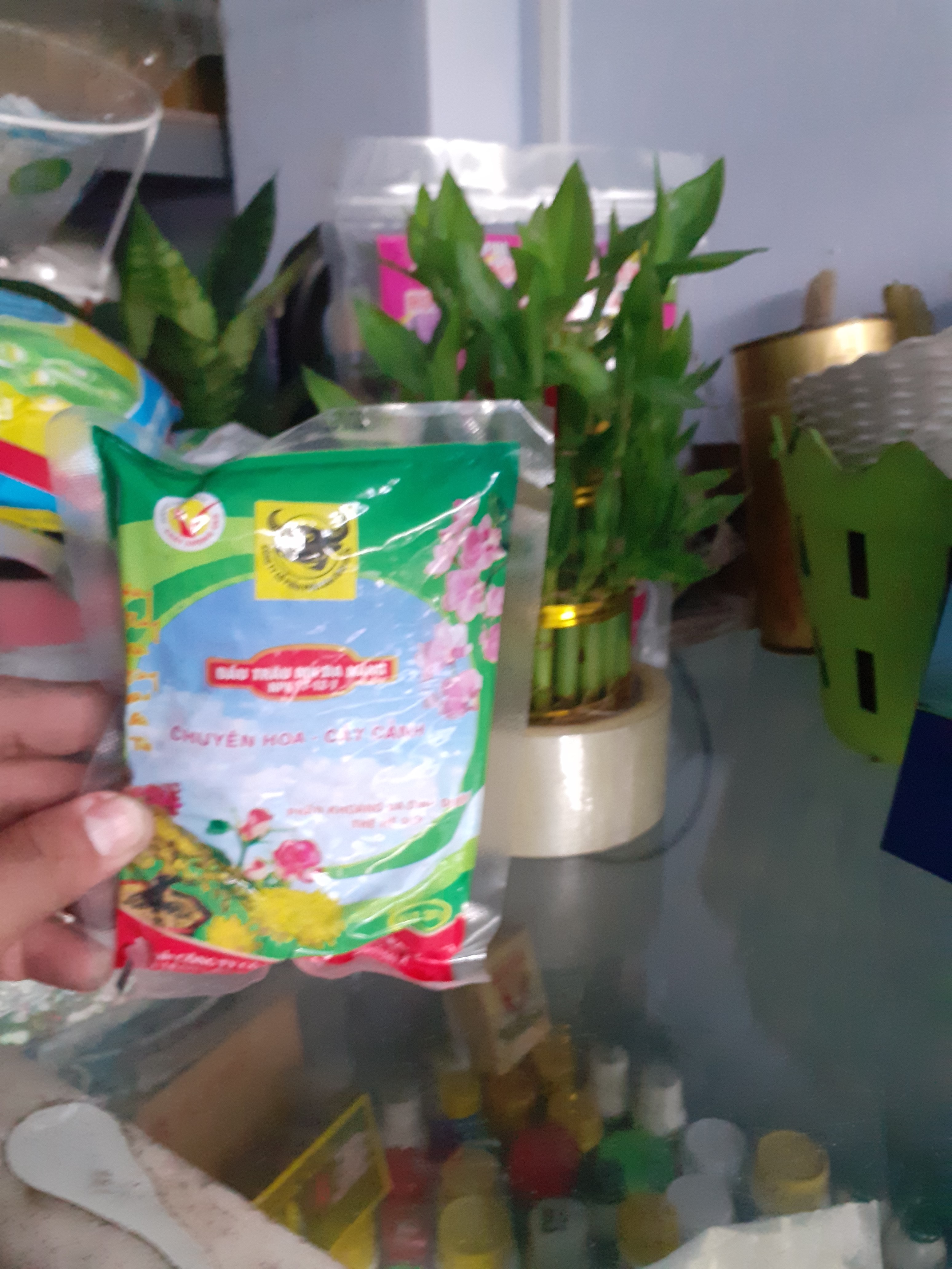 Chuyên hoa cây cảnh đầu trâu đa năng npk 17-12-7
