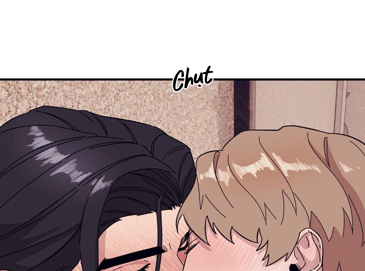 chàng dâu nhà họ kang chapter 44 14