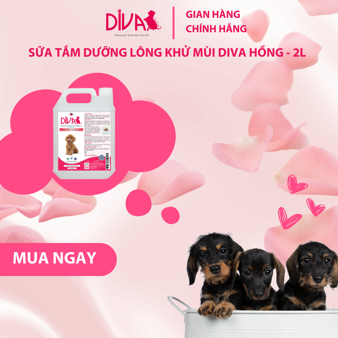 SỮA TẮM CHÓ DƯỠNG LÔNG KHỬ MÙI DIVA HỒNG 2L (DIVA FORMULA 2)