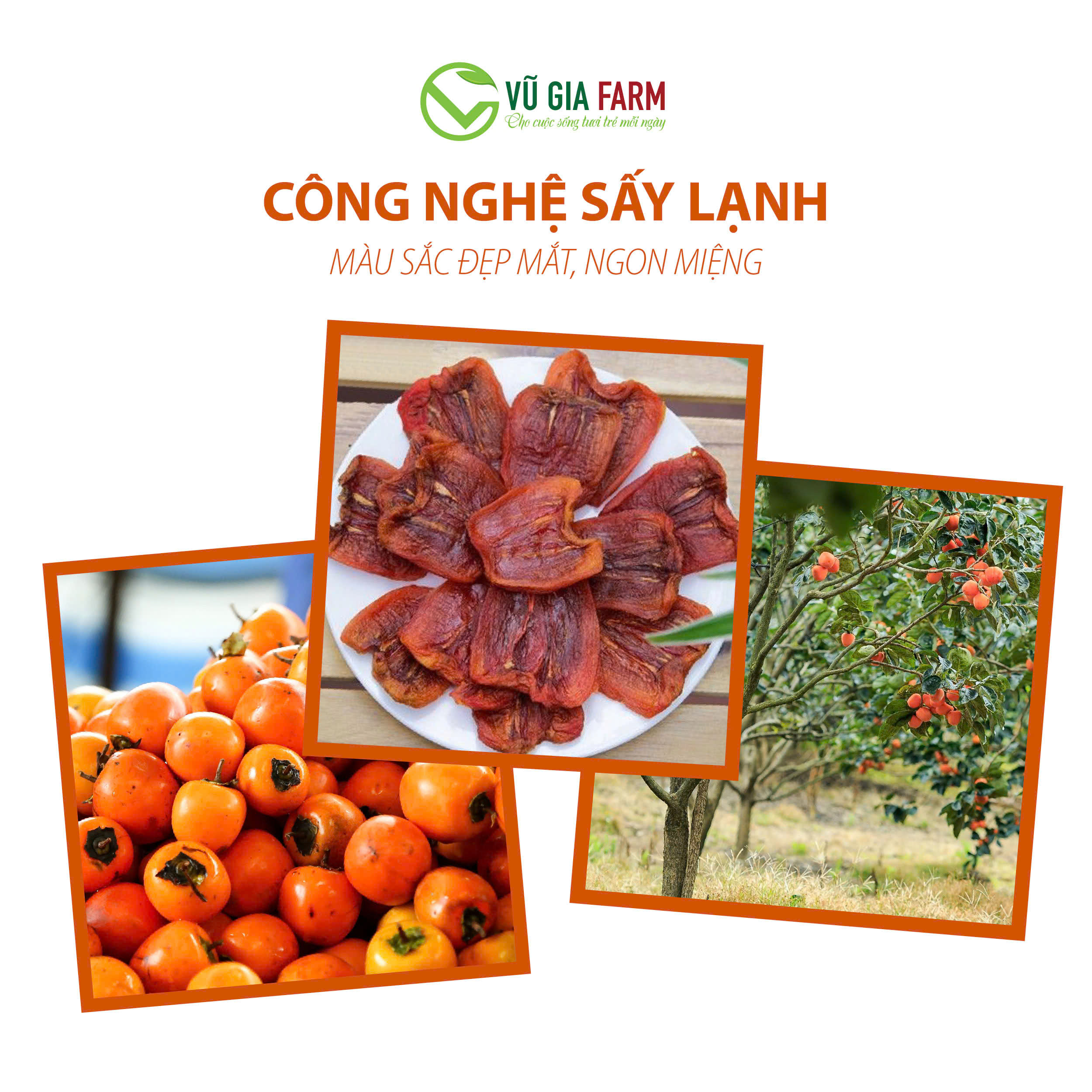 Hồng Chẻ Sấy Dẻo Đà Lạt Túi 500g - hồng dẻo thơm ngon, đậm đà hương vị truyền thống, đặc sản mùa thu Đà Lạt