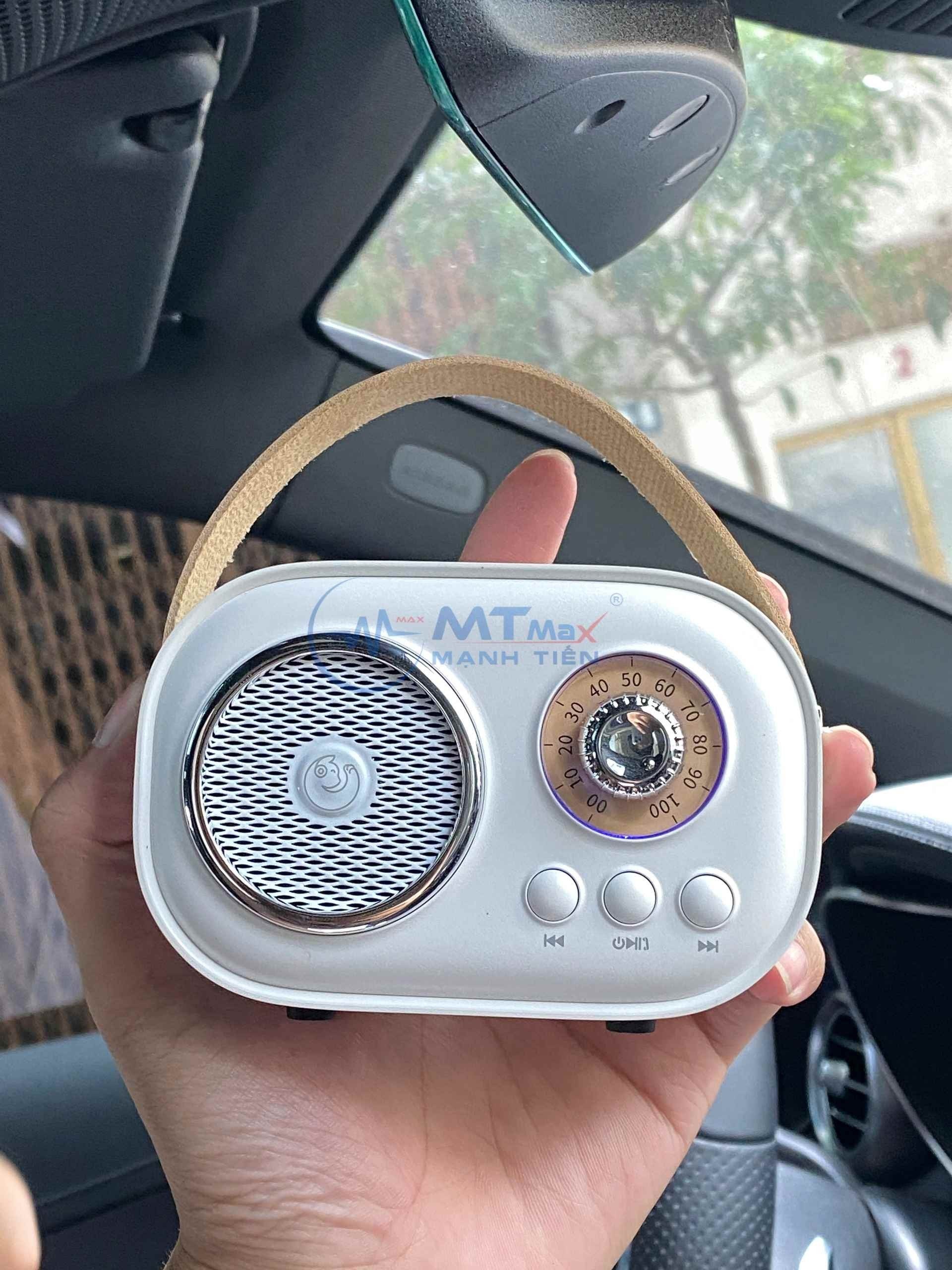 Loa Bluetooth Kèm Mic C20 Plus nhỏ gọn – 3 Trong 1 Bluetooth/Thẻ TF Karaoke, Nghe Nhạc Vui Chơi Ngoài Trời Cùng C20 Plus