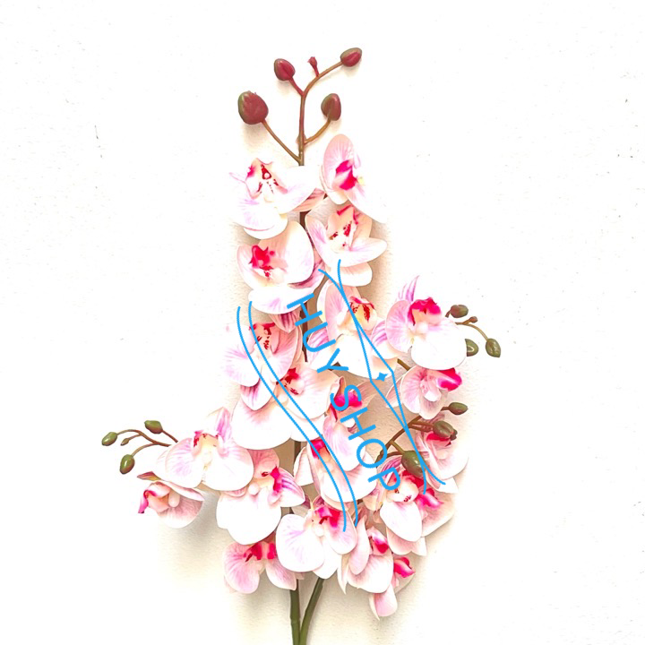 Hoa giả trang trí - Cành hoa LAN TIỂU HỒ ĐIỆP PLASTIC 4 nhánh