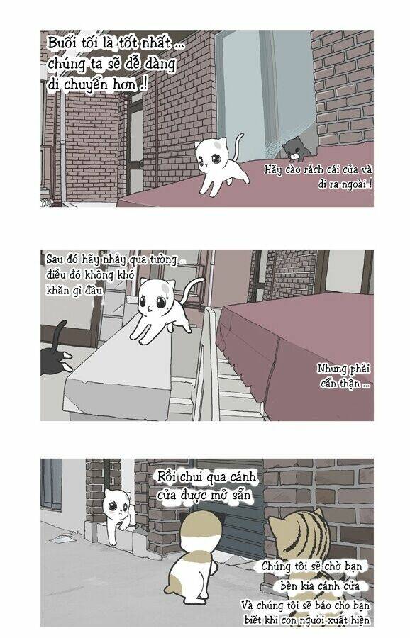 papi nyang chapter 15 17