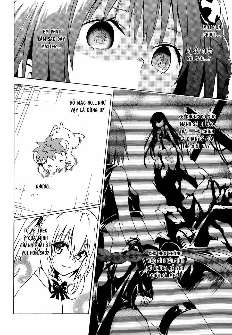 bọn tớ thích cậu! rito 2 - venus chapter 37 31