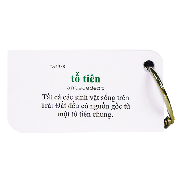 Combo Trọn Bộ KatchUp Flashcard TOEFL - High Quality