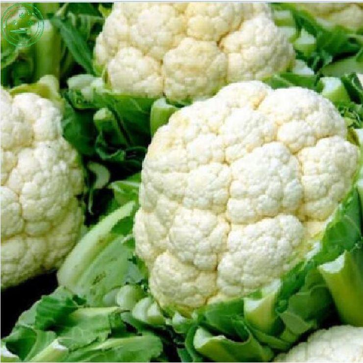 Hạt Giống Súp Lơ Trắng ,Bông Cải Trắng dể trồng f1- gói 0,2 Gram-tặng kèm gói phân bón lót