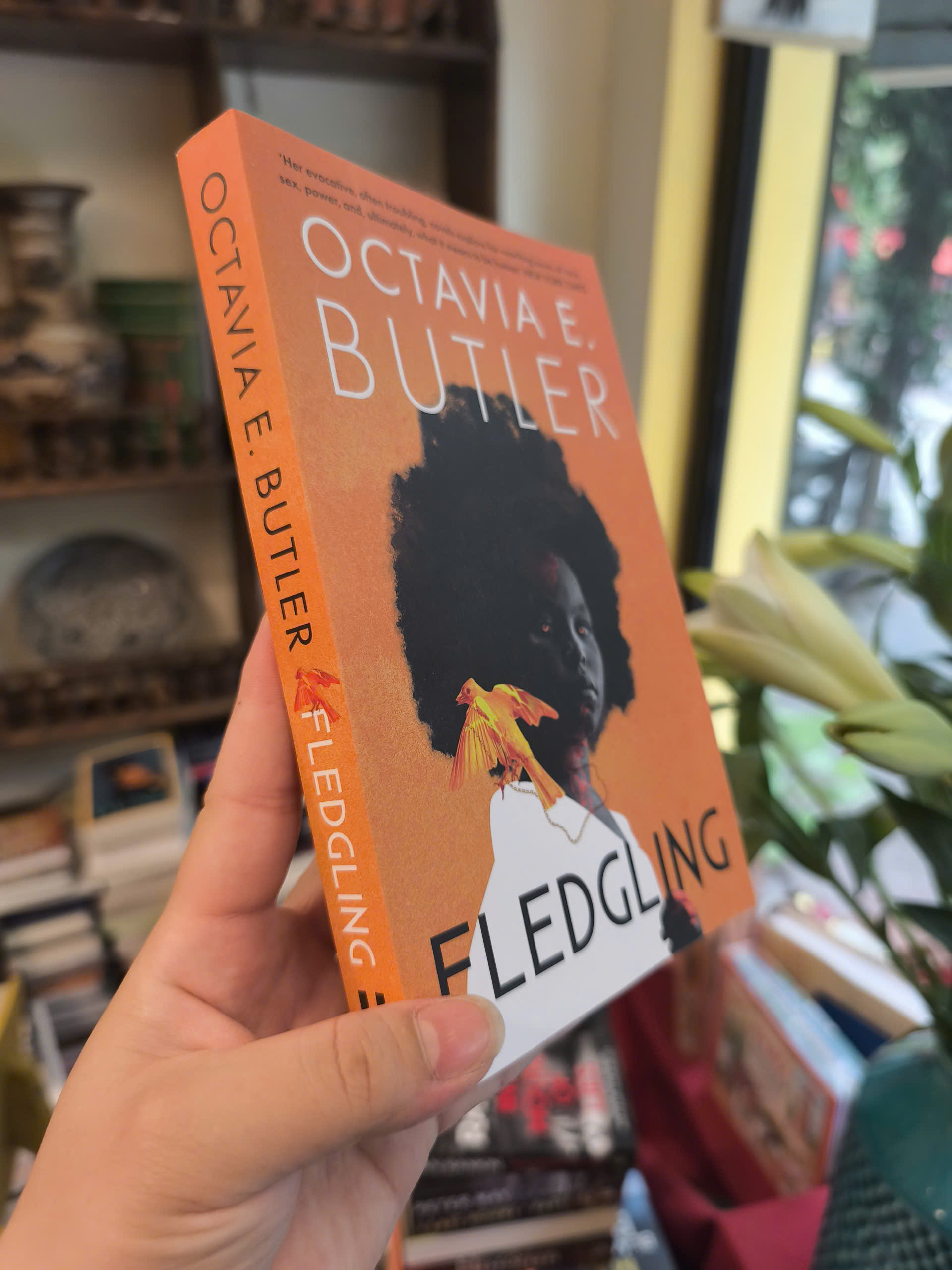 Sách - Fledgling by Octavia E. Butler | Fantasy / Horror Fiction / Ngoại văn Nhập khẩu UK