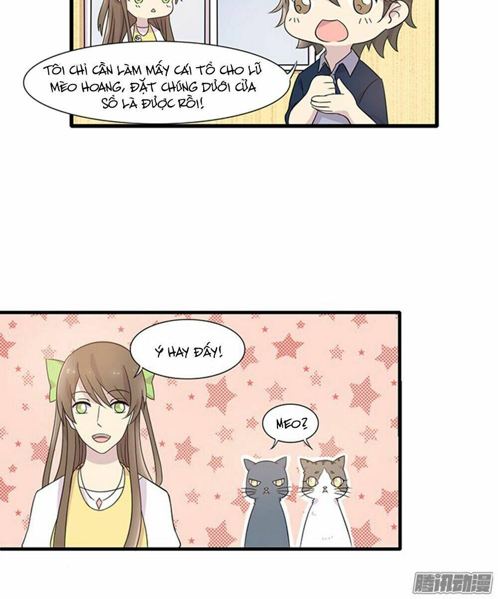 hai chú mèo totem chapter 13 17
