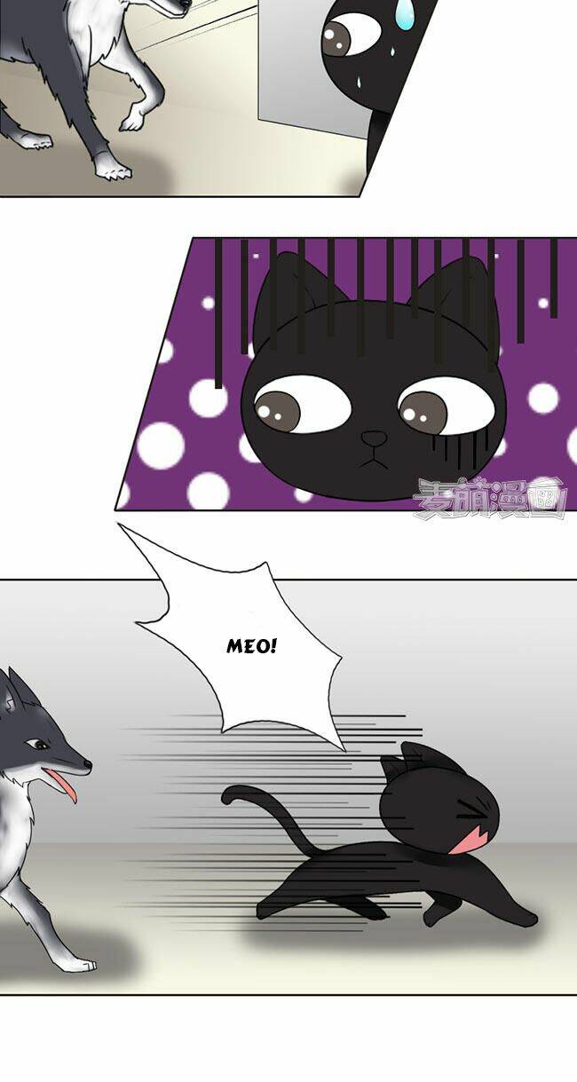 tổng tài ma cà rồng tha cho tôi chapter 23 3