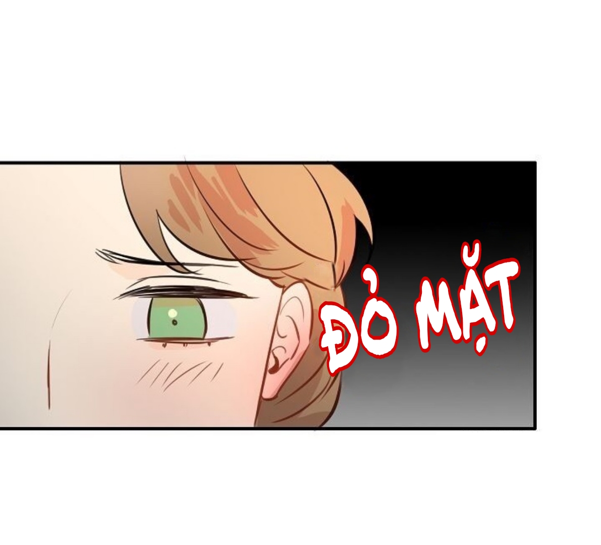 điều ước tuyệt vời!!!! chapter 16 49