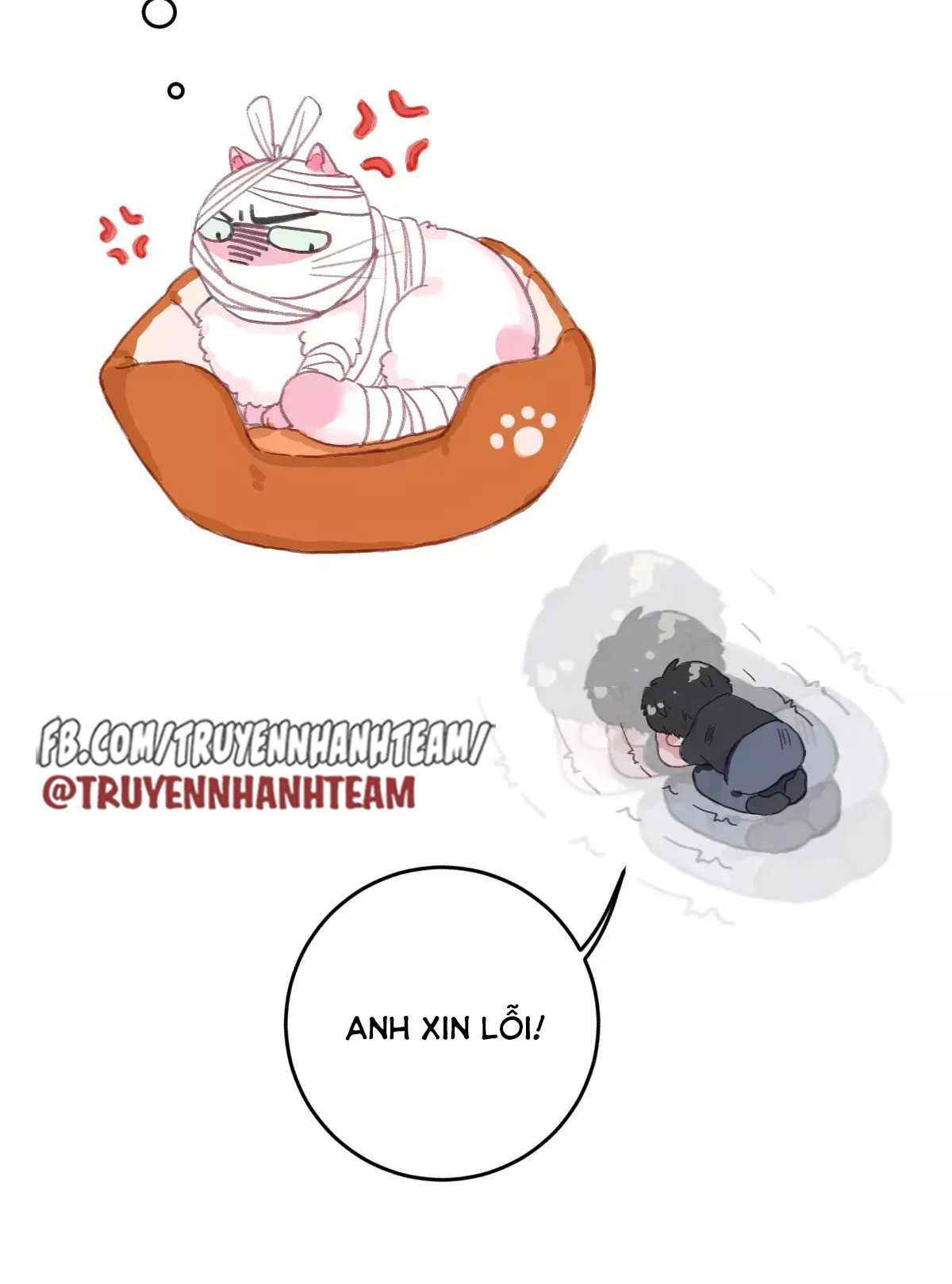 xã hội mèo chapter 2 50
