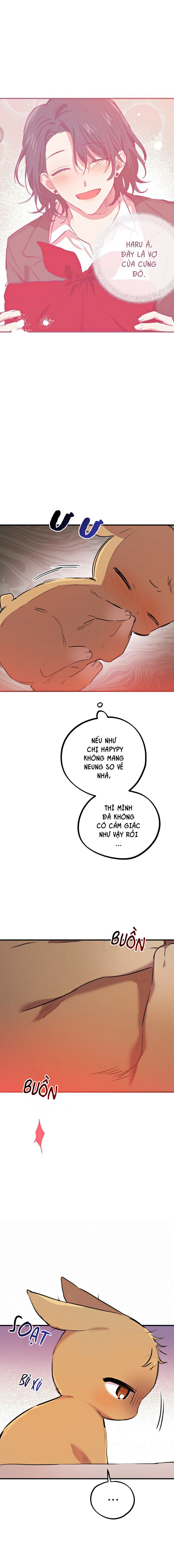 những chú thỏ của hapypy chapter 18 9