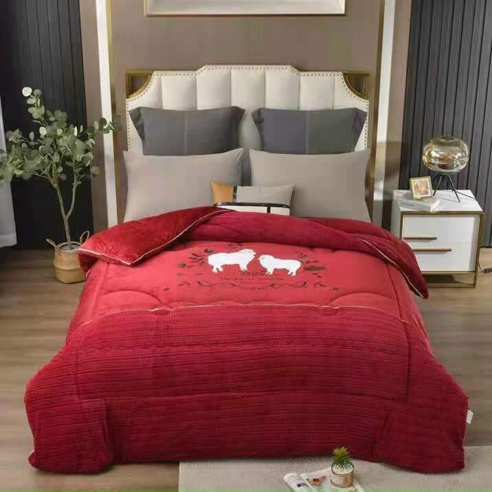 Chăn Lạc Đà, Cừu Cao Cấp Cho Mua Đông Đại Hàn