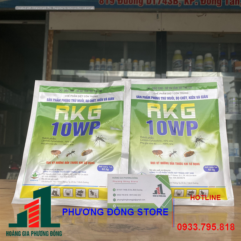 Thuốc diệt muỗi và côn trùng RKG 10 WP - 62.5GR