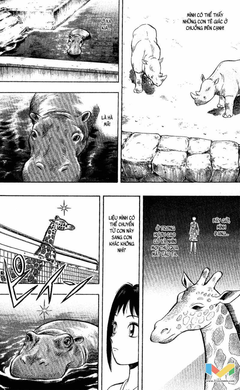 animal sense chapter 3 18