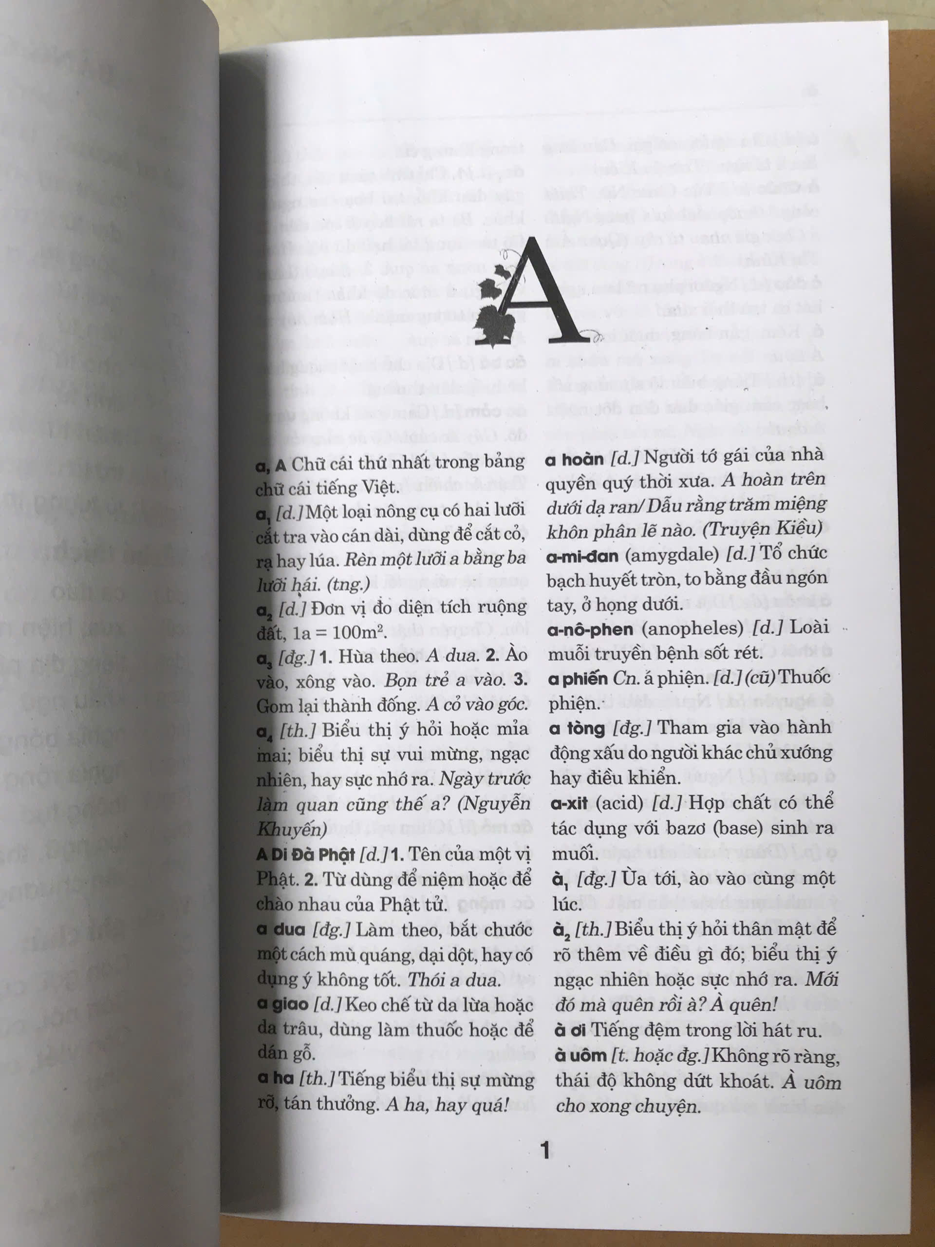 Từ Điển Tiếng Việt (Tái Bản) (Khổ nhỏ)