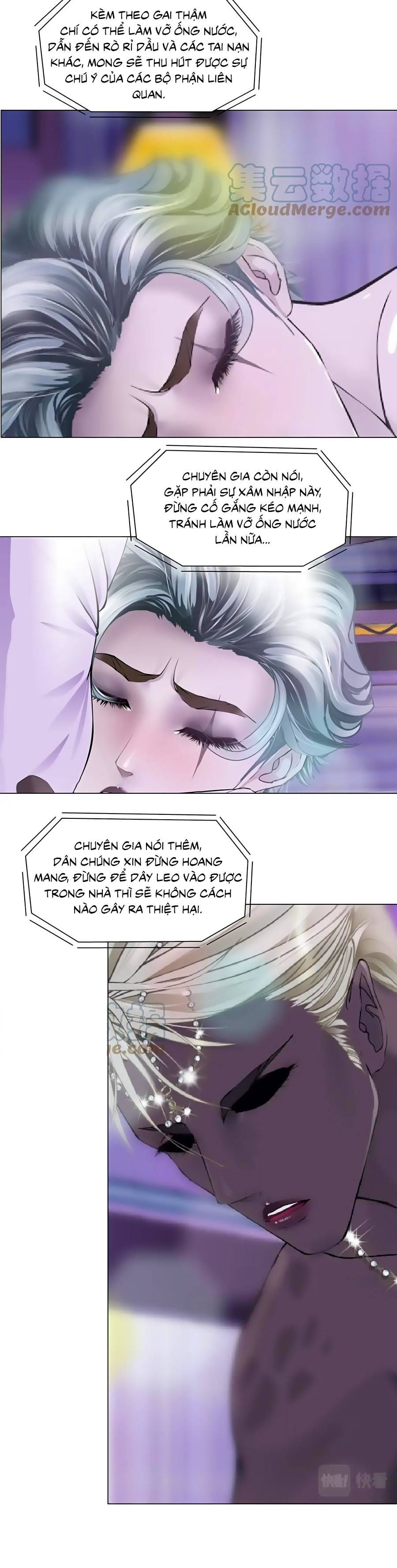 đằng nữ chapter 157 4