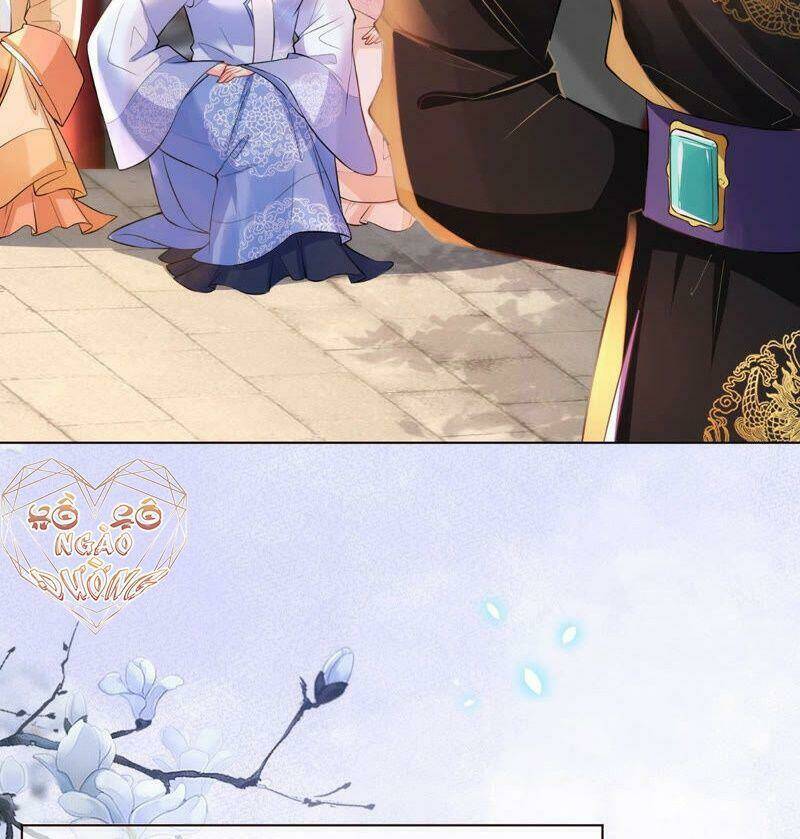 quận chúa vững vàng, thiết lập nhân vật không thể vỡ chapter 45 8