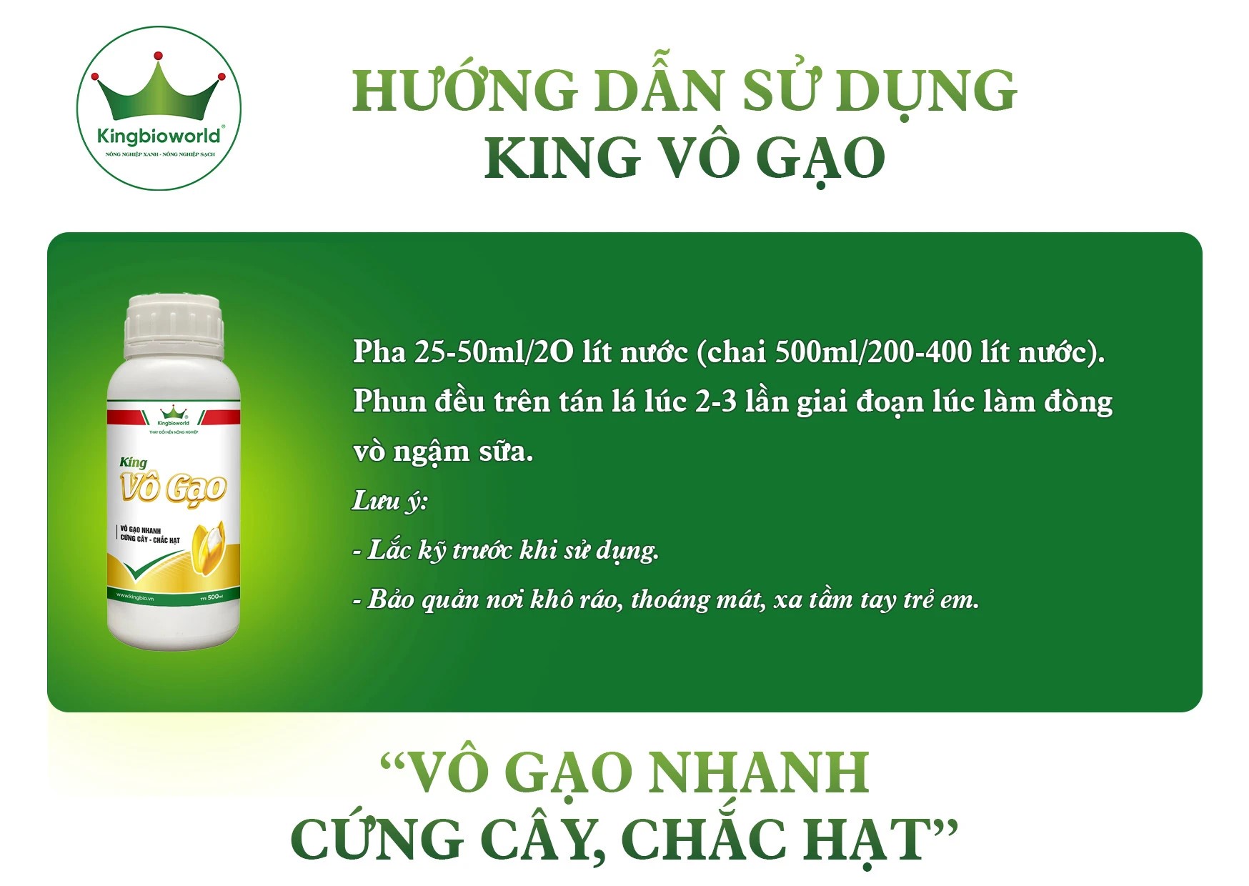 King vô gạo - vô gạo nhanh, cứng cây chắc hạt vỏ dầy màu sáng