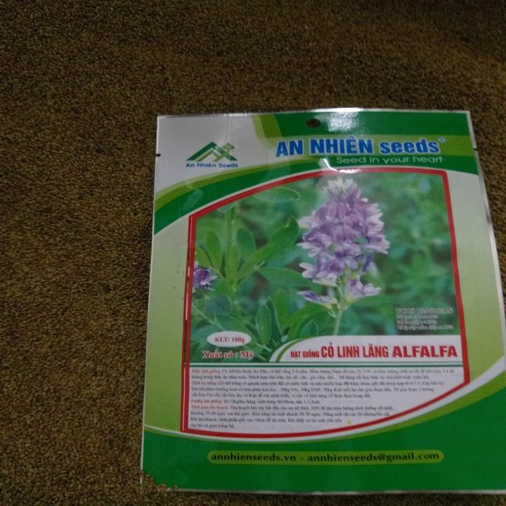 Hạt giống cỏ chăn nuôi ALFALFA 100g