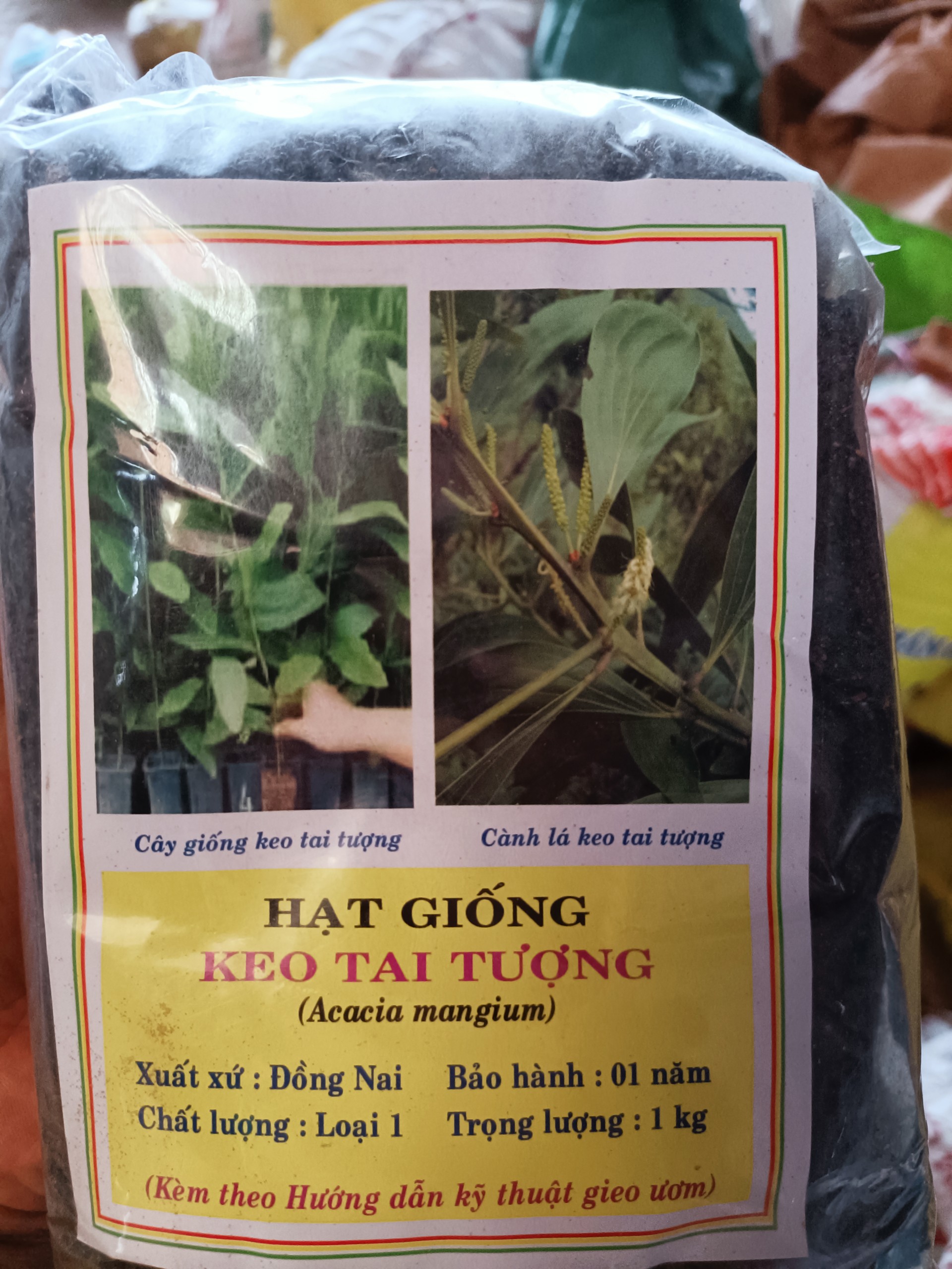 Hạt giống keo tai tượng trồng rừng - gói 100 gram
