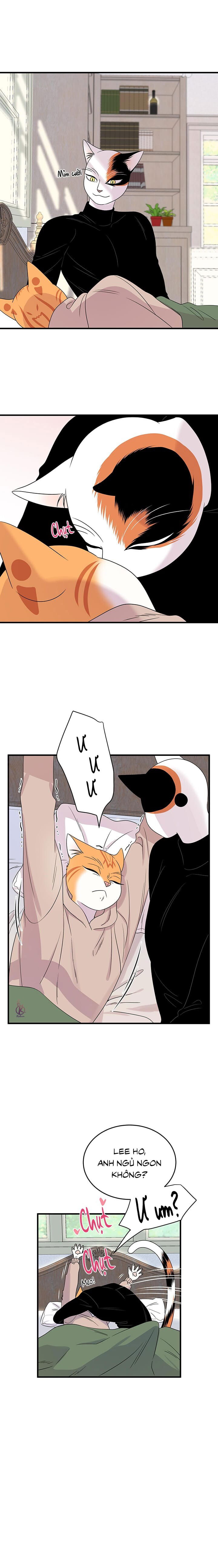 dự án xanh chapter 46 2